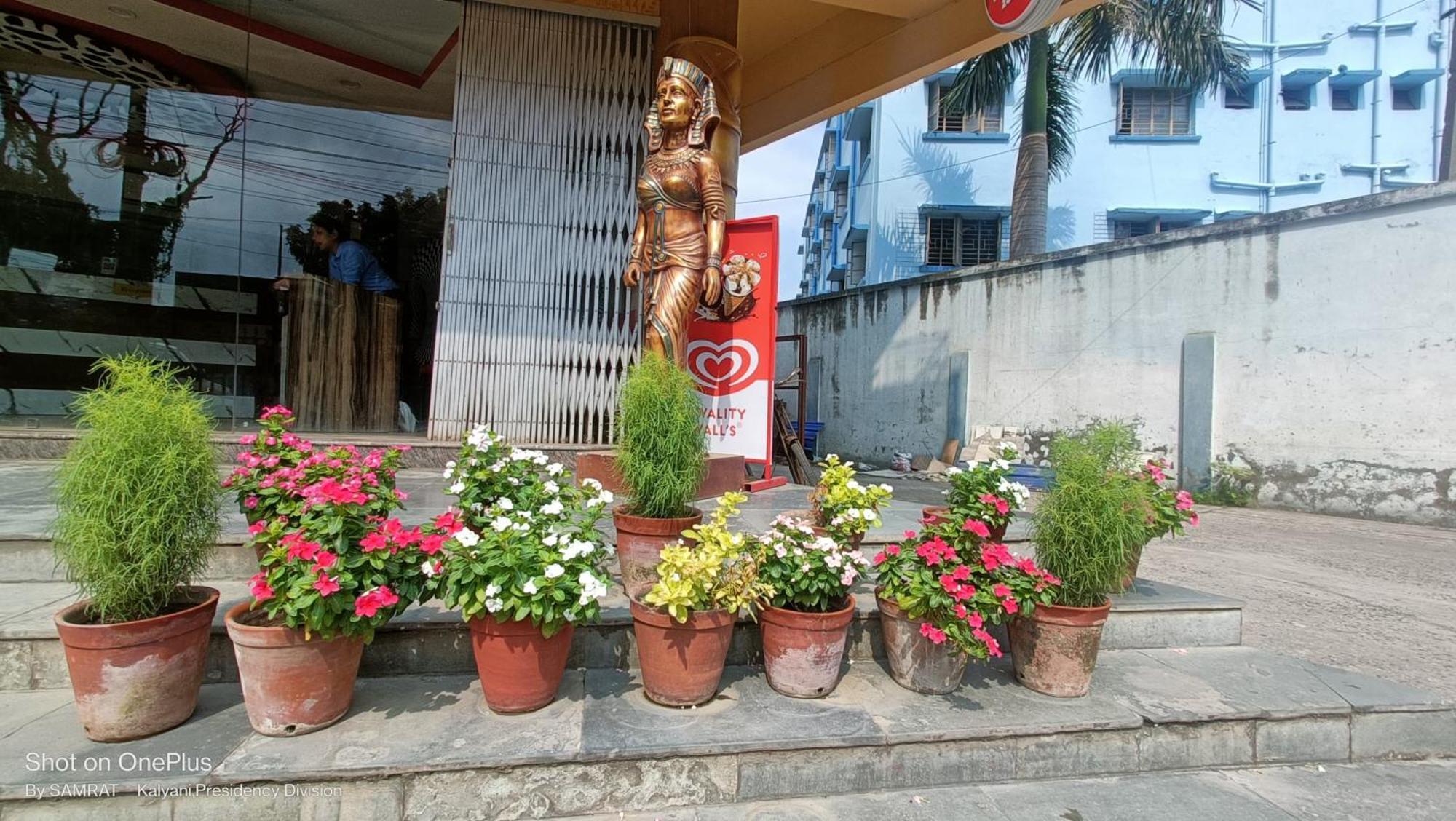 Kalyani Trisplanet酒店 外观 照片